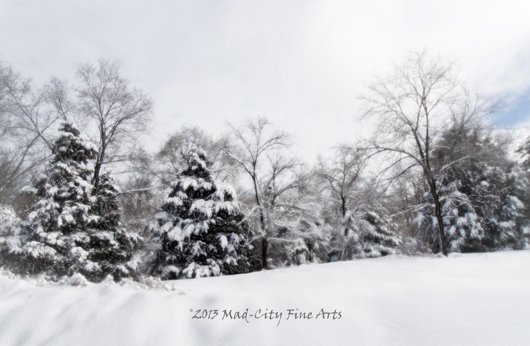 A picture-perfect winter landscape from Elkhorn, WI.