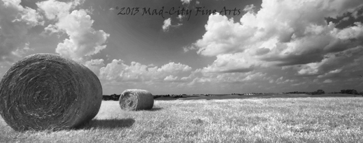 A Summer-time field feature's Wisconsin's farms iconic hay bales.