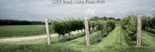 The vines of Staller Vineyard near Elkhorn, WI.